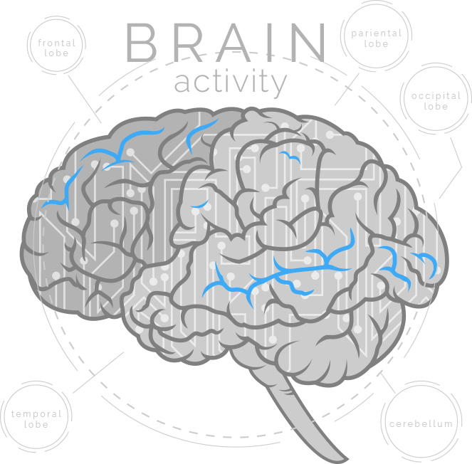 brain_2